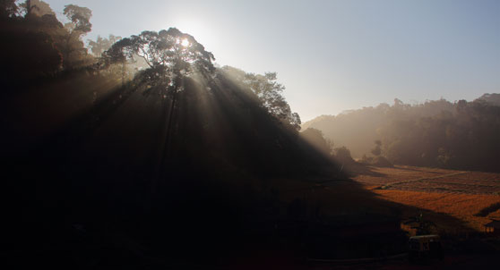 Deva Maani mornings
